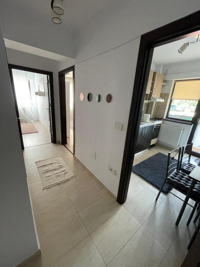 Appartamento The Mirror - Quiet & Friendly Place In Copou Iasi Esterno foto